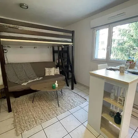 Superbe Studio Geneve Tout Equipe Douane De Moillesulaz Apartment Gaillard