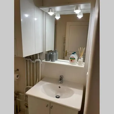Apartment Superbe Studio Geneve Tout Equipe Douane De Moillesulaz