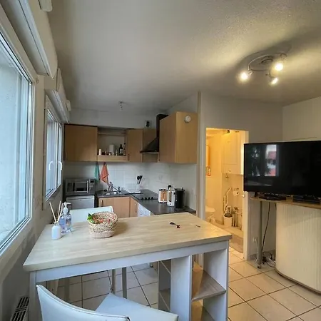 Apartment Superbe Studio Geneve Tout Equipe Douane De Moillesulaz *